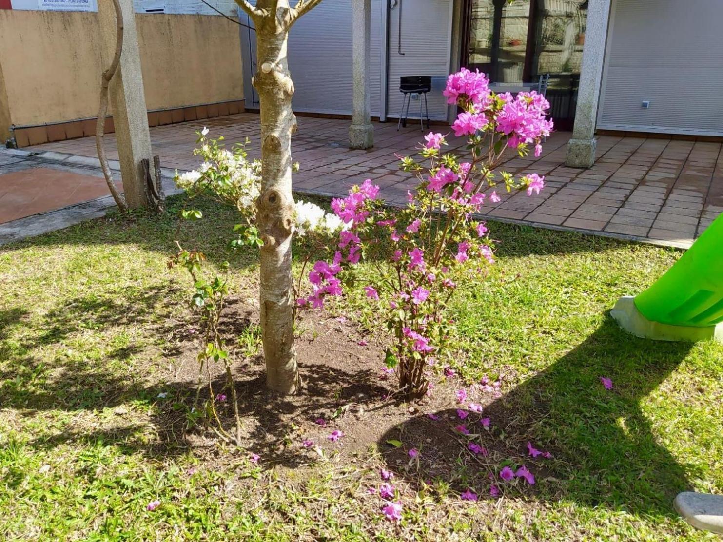 Apartamento Con Jardin Y Piscina Temporada Verano Privados Samieira Exterior foto